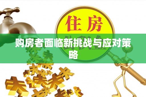 邵阳购房者面临新挑战与应对策略