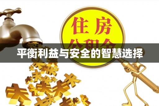 邵阳平衡利益与安全的智慧选择