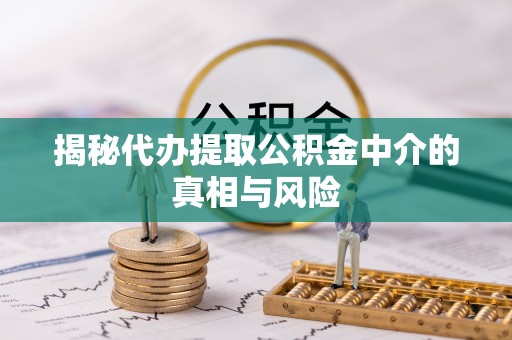 邵阳揭秘代办提取公积金中介的真相与风险