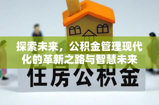 邵阳探索未来，公积金管理现代化的革新之路与智慧未来