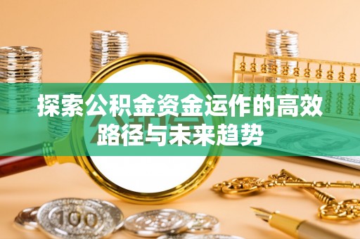 邵阳探索公积金资金运作的高效路径与未来趋势