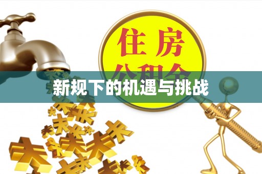 邵阳新规下的机遇与挑战