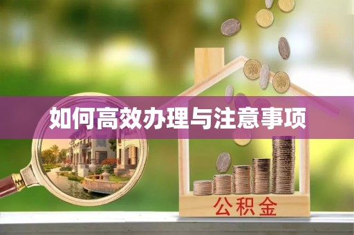 邵阳如何高效办理与注意事项