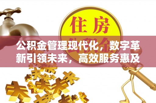 邵阳公积金管理现代化，数字革新引领未来，高效服务惠及民生