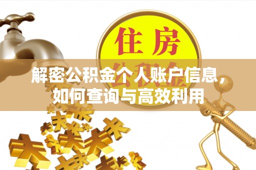 邵阳解密公积金个人账户信息，如何查询与高效利用