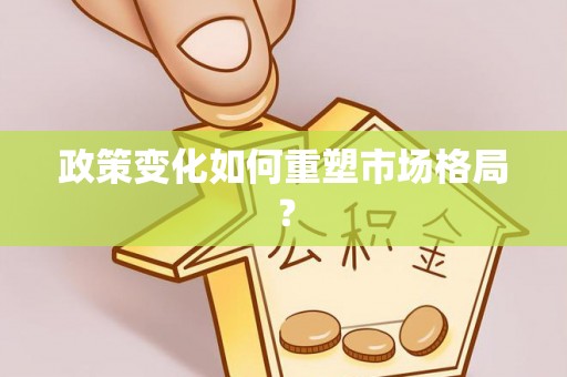 邵阳政策变化如何重塑市场格局？