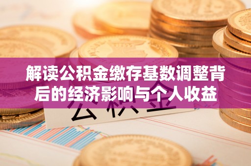 邵阳解读公积金缴存基数调整背后的经济影响与个人收益