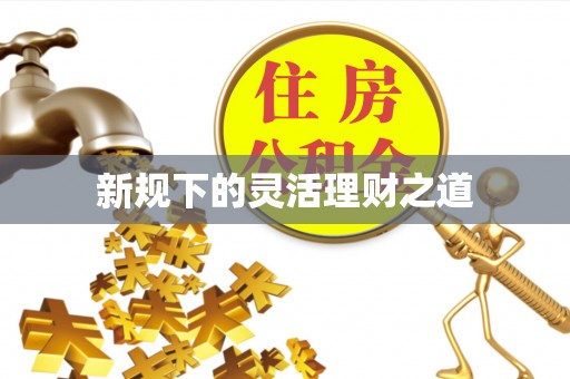 邵阳新规下的灵活理财之道