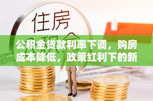 邵阳公积金贷款利率下调，购房成本降低，政策红利下的新机遇