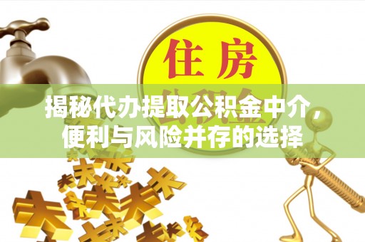 邵阳揭秘代办提取公积金中介，便利与风险并存的选择