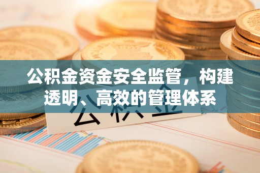 邵阳公积金资金安全监管，构建透明、高效的管理体系