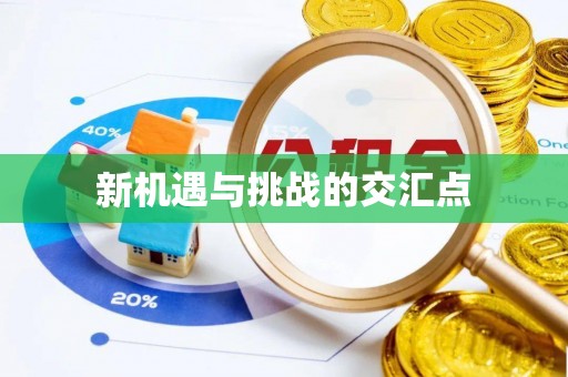 邵阳新机遇与挑战的交汇点