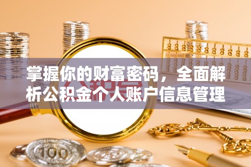 邵阳掌握你的财富密码，全面解析公积金个人账户信息管理与优化