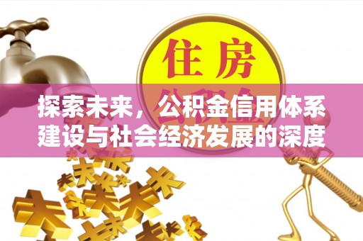 邵阳探索未来，公积金信用体系建设与社会经济发展的深度融合