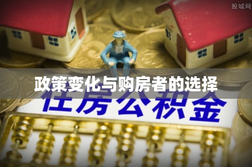 邵阳政策变化与购房者的选择