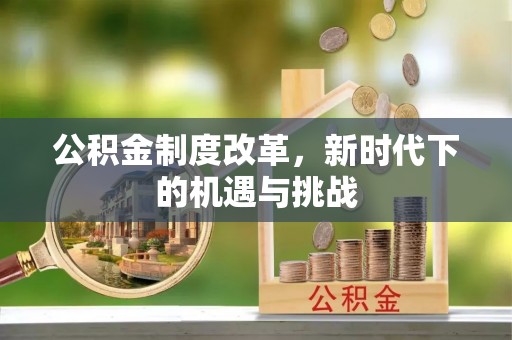 邵阳公积金制度改革，新时代下的机遇与挑战