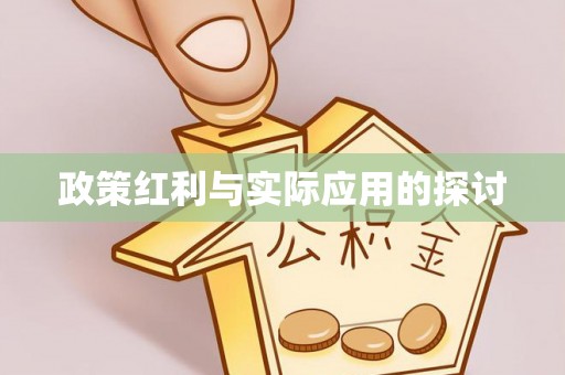 邵阳政策红利与实际应用的探讨