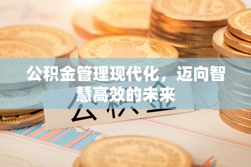 邵阳公积金管理现代化，迈向智慧高效的未来