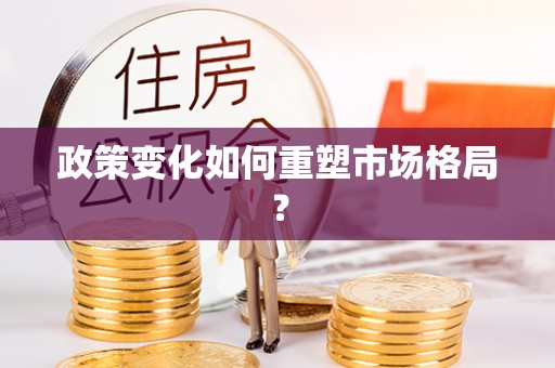 邵阳政策变化如何重塑市场格局？