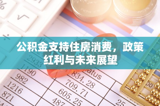 邵阳公积金支持住房消费，政策红利与未来展望