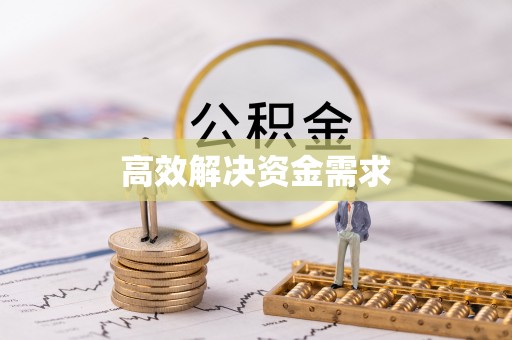 邵阳高效解决资金需求