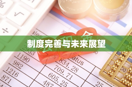 邵阳制度完善与未来展望