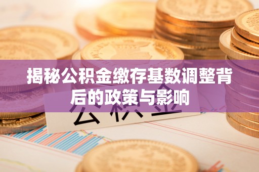 邵阳揭秘公积金缴存基数调整背后的政策与影响
