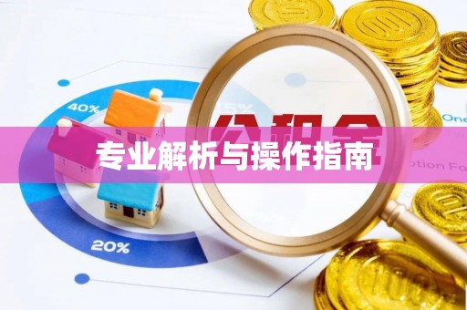 邵阳专业解析与操作指南