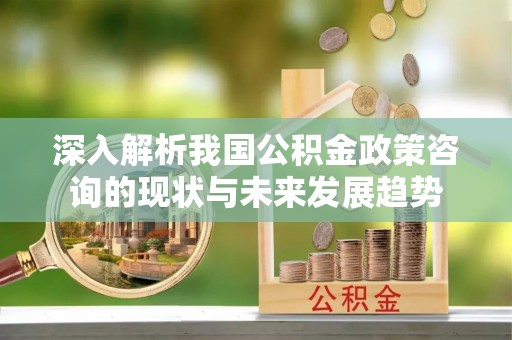邵阳深入解析我国公积金政策咨询的现状与未来发展趋势