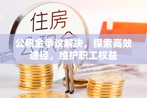 邵阳公积金争议解决，探索高效途径，维护职工权益