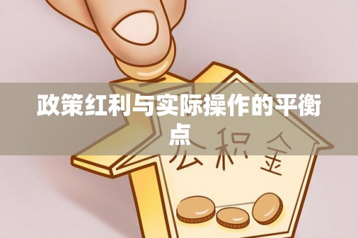 邵阳政策红利与实际操作的平衡点