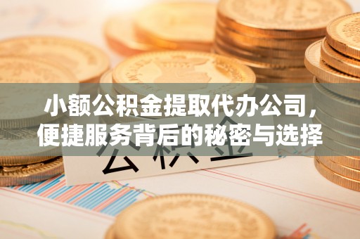 邵阳小额公积金提取代办公司，便捷服务背后的秘密与选择指南