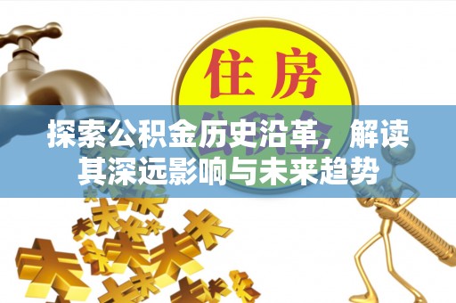 邵阳探索公积金历史沿革，解读其深远影响与未来趋势
