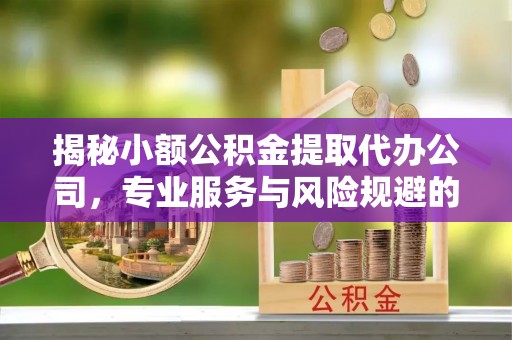 邵阳揭秘小额公积金提取代办公司，专业服务与风险规避的平衡艺术