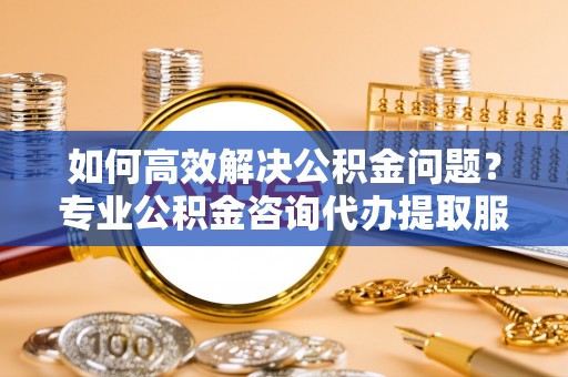 邵阳如何高效解决公积金问题？专业公积金咨询代办提取服务来帮你