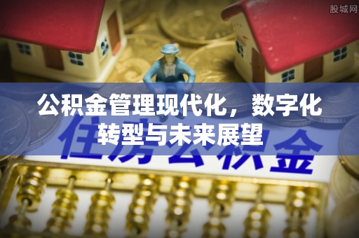 邵阳公积金管理现代化，数字化转型与未来展望