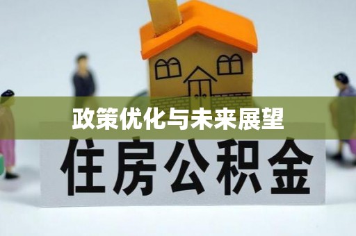 邵阳政策优化与未来展望