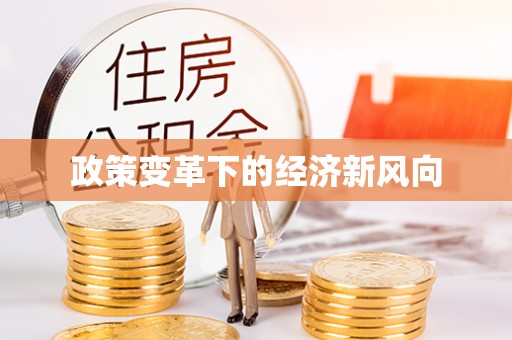 邵阳政策变革下的经济新风向