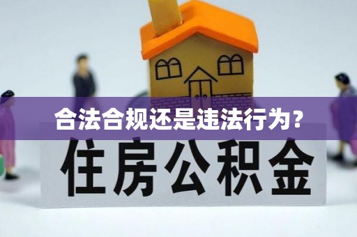 邵阳合法合规还是违法行为？