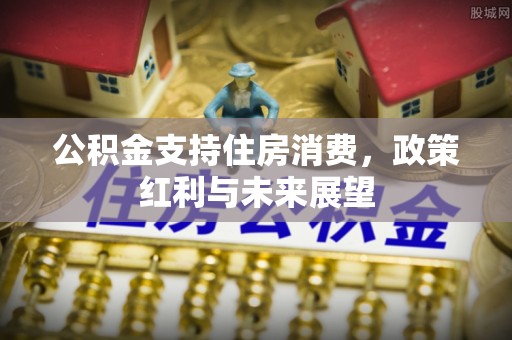 邵阳公积金支持住房消费，政策红利与未来展望