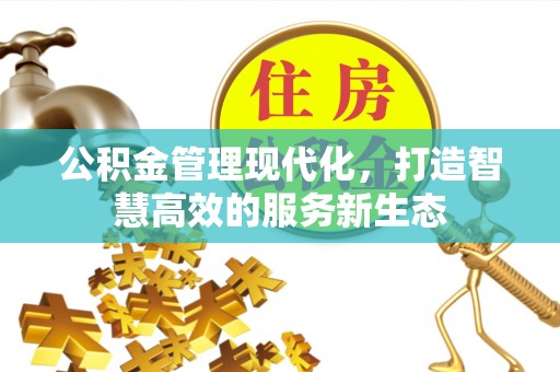 邵阳公积金管理现代化，打造智慧高效的服务新生态