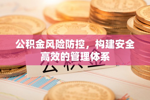 邵阳公积金风险防控，构建安全高效的管理体系