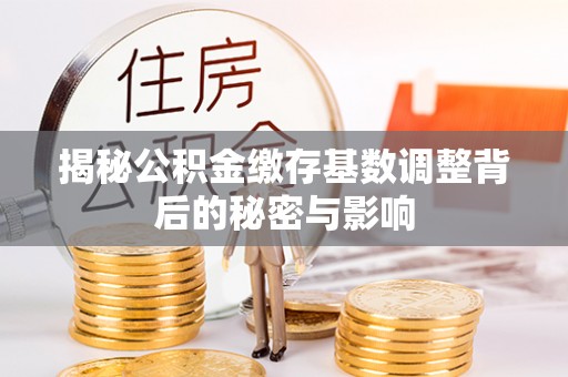 邵阳揭秘公积金缴存基数调整背后的秘密与影响