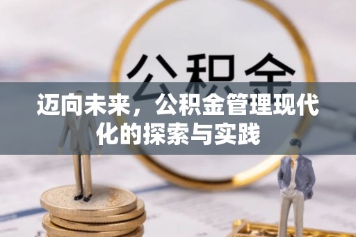 邵阳迈向未来，公积金管理现代化的探索与实践