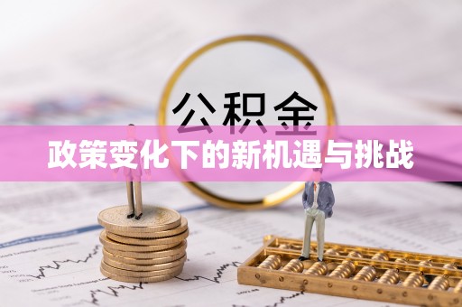 邵阳政策变化下的新机遇与挑战