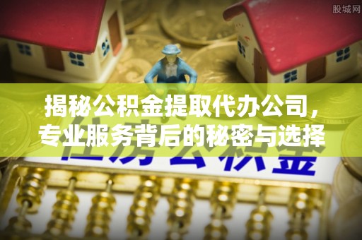 邵阳揭秘公积金提取代办公司，专业服务背后的秘密与选择指南