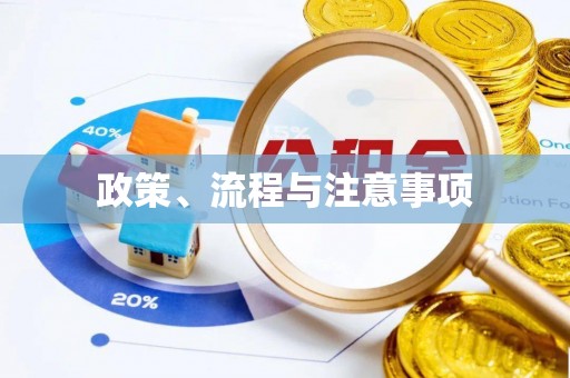 邵阳政策、流程与注意事项