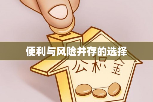 邵阳便利与风险并存的选择