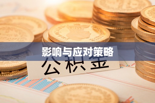 邵阳影响与应对策略