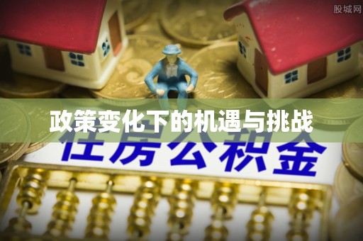 邵阳政策变化下的机遇与挑战